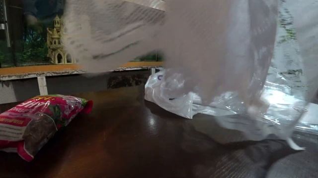 Обзор товаров с вайлдберриз: грунт и горшок для орхидей, выдавливатель тюбиков, насадка на смесител смотреть онлайн