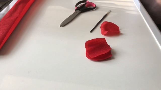 Картина для подарка|Васильки и Маки| Поделки из Цветной бумаги|Своими руками|с подростком с дцп смотреть онлайн