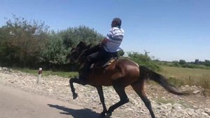 Yorga Atlar Keher (Celilabad)