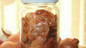 Луковая шелуха: 5 способов использования, шелуха из лука, удобрение шелухой, шелуха от вредителей