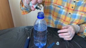 ГЛОКСИНИЯ из семян. Глоксиния уход в домашних условиях.