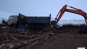 ВОЗИМ КУСТЫ СО ДНА ОВРАГА /ЗДЕСЬ БУДЕТ БОЛЬШОЙ ПРУД /