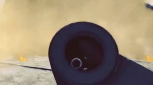 Лабиринт для хомяков с ловушками ☠️ [ПОЛОСА ПРЕПЯТСТВИЙ] ? Динозавр и акула ?