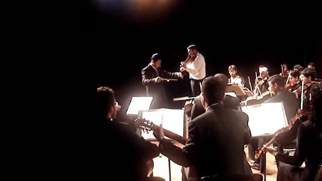 Georg Philipp Telemann - Concerto Viola in G Major смотреть онлайн