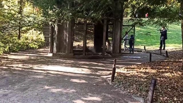 Умань. Прогулка по Софиевскому парку смотреть онлайн