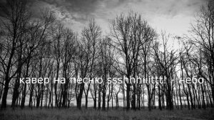 кавер на песню ssshhhiiittt! - небо
