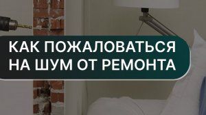 Куда жаловаться на шумных соседей | Какой шум считается нарушением?