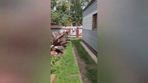 Панкрушиха. Приколы нашего двора 😁