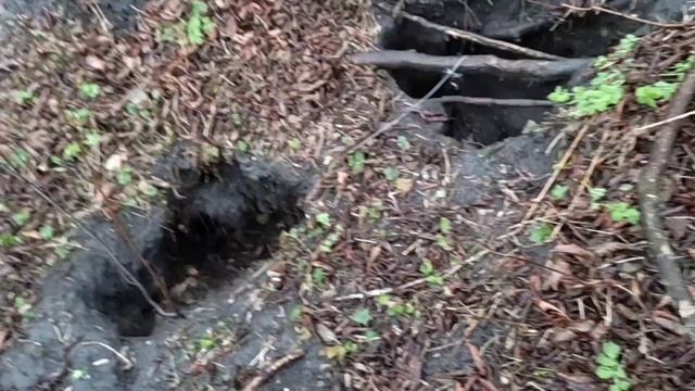 Проверка капканов. Охота на норку. смотреть онлайн