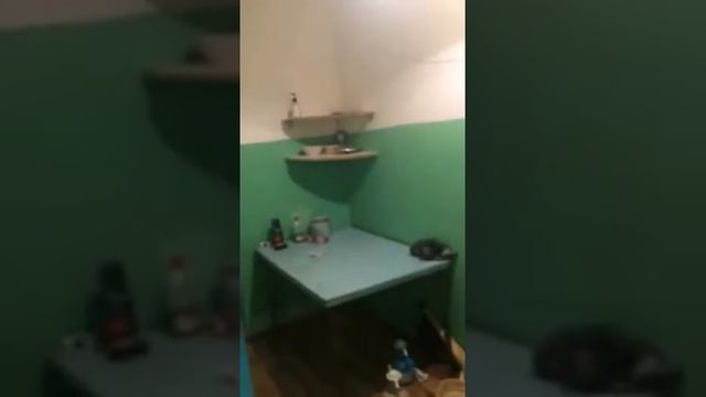 Лучшие студенческие годы жизни))) смотреть онлайн