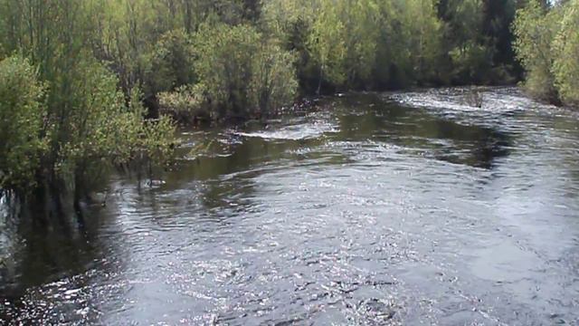 Река Лепша смотреть онлайн