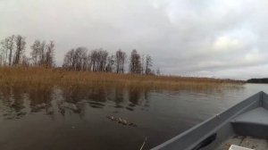 Барышево..., Вуокса..., Рыбалка... 19.10.2022