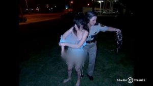 RENO 911! - Very Drunk And Extremely Disorderly