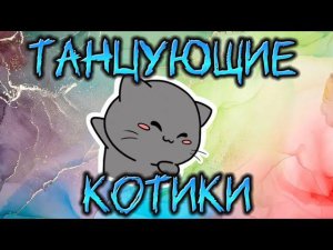 Танцующие котики /Dancing cats