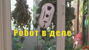 НАТЯНУЛИ ПОТОЛОК / РОБОТ МОЙЩИК ОКОН В ДЕЛЕ / 01, 02, 03 сентября 2024