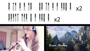 Kaer Morhen (The Witcher 3: Wild Hunt) on Tin Whistle D + tabs tutorial