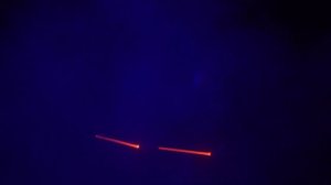 Паша Коноплёв — первый в мире гонщик на собачьих упряжках с синдромом Дауна//Хабаровск. Сильные люди