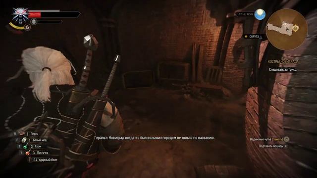 Ведьмак 3: Дикая охота (PC, 2023) — Прохождение Игры (Костры Новиграда, Сон в Большом Городе) #10 смотреть онлайн