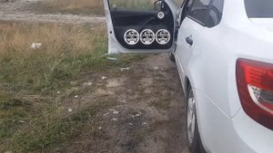 СЧ динамики DL Audio Phoenix Sport 200