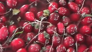 Мойка редиса