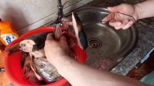 Просто вкусные головы семги горячего копчения своими руками.