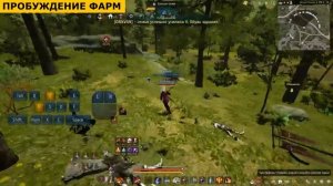 ? СТРАЖ: имба фарм? ПВП и ПВЕ гайд после реворка в БДО (BDO - Black Desert)
