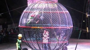 Цирк Демидовых 2015 Два мотоцикла в шаре