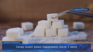 Сахар может резко подорожать после 1 июня