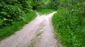 Из города в зеленую рощу