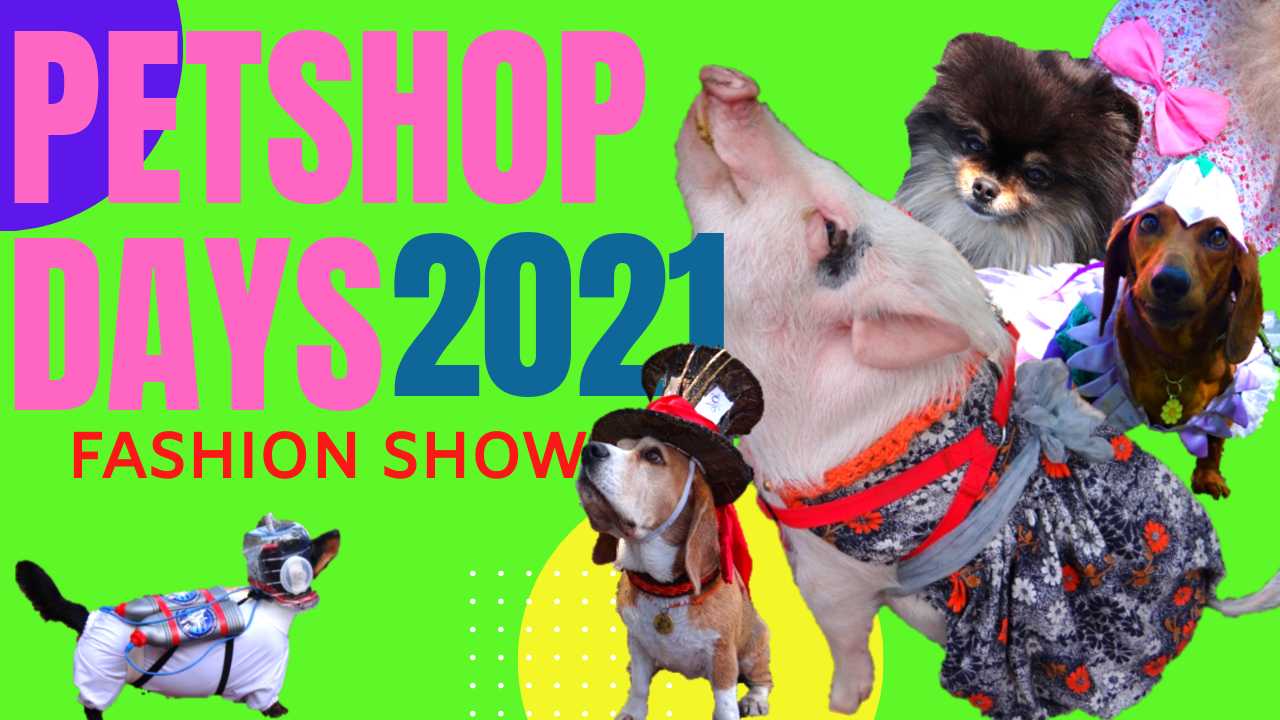 САНКТ-ПЕТЕРБУРГ:  Показ мод на самом огромном фестивале домашних животных в России Petshop Days 2021