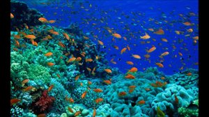 Аудиобиблия. Деяния святых апостолов. Глава 25