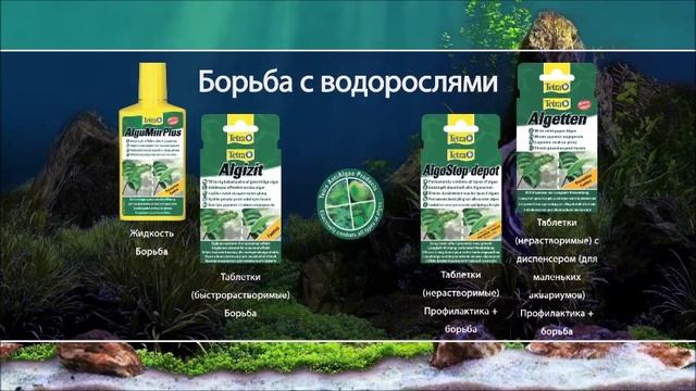 Борьба с водорослями в аквариуме