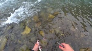 Глухая# Таёжная# Река ХАКАСИИ# Ловля хариуса!!!