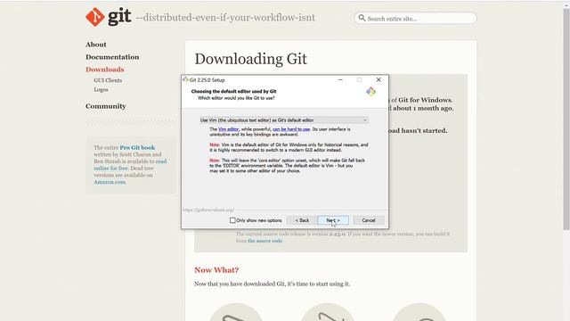 Install Go and start with Hello World project in golang смотреть онлайн