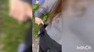 Друг хочет присунуть