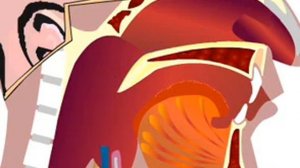 Функция надгортанника