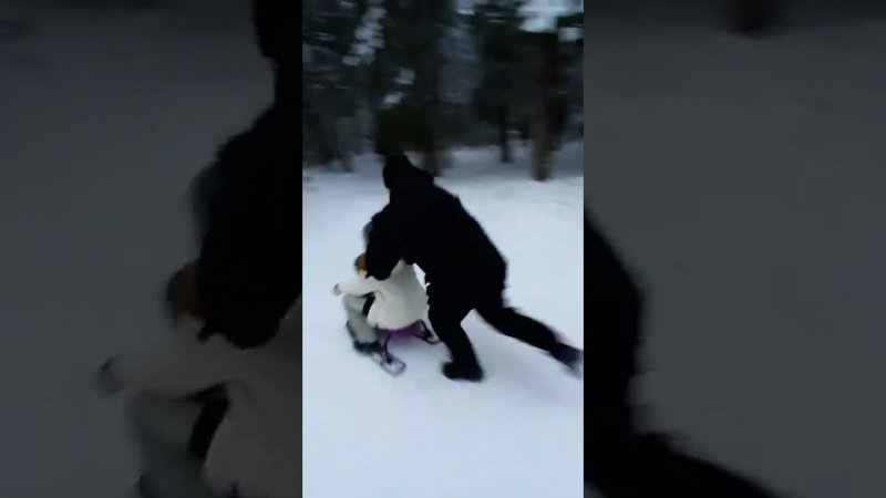 Алиса и Василиса едут к зубрам