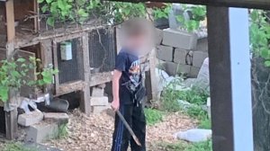 Подросток забил в чужом дворе два десятка домашних животных: что стало причиной жестокости?