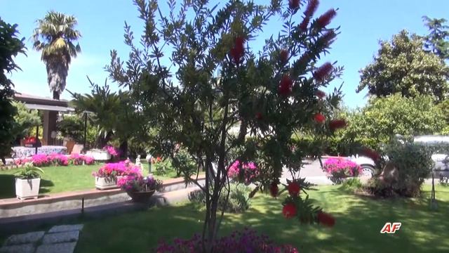 FIORI FUXIA смотреть онлайн