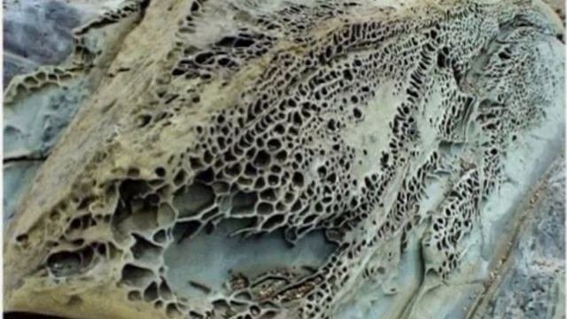 Доказательства существования древних гигантов.