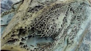 Доказательства существования древних гигантов.