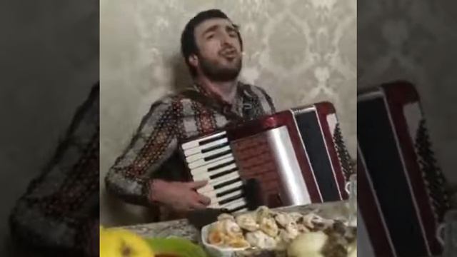 Магомед Шамсудинов - аварская на гармошке - 2020 год смотреть онлайн