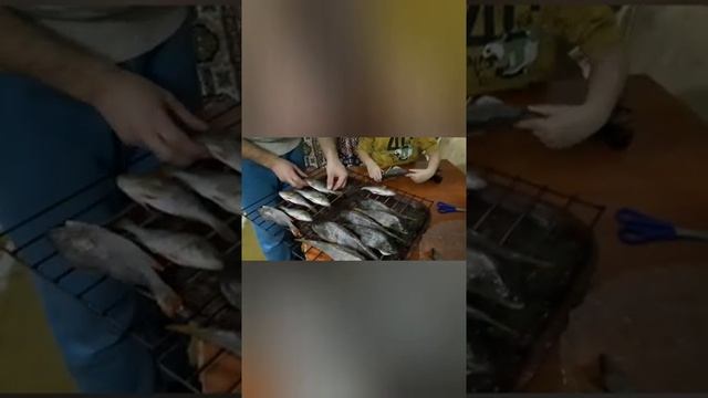 Копчение окуня в домашних условиях смотреть онлайн