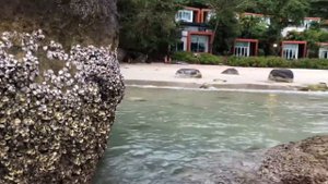 Пляж Камала , прогулка во время отлива! (Пхукет)