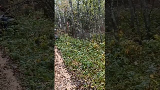 8 января 2024 г. смотреть онлайн