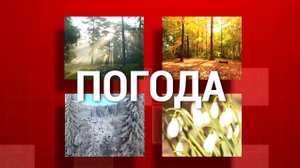 Прогноз погоды на 19.09.2022г. Горловка - 6ТВ