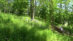 Очищение организма для ослабленных людей 2. МАЛАХОВ.