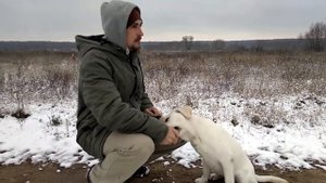 Как научить собаку показывать зубы