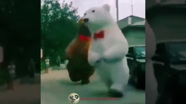 приколы