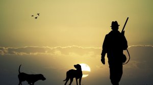 theHunter: Call of the Wild.  Те-Авароа, все задания,